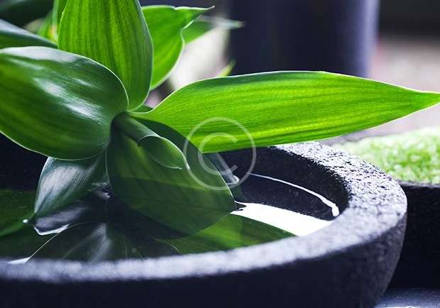 Is a Spa Massage Good for Stress Relief? Benefits, Safety & Tips for Bengaluru Professionals